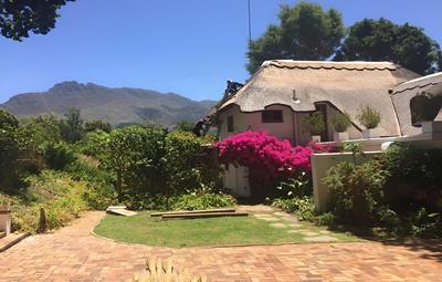 Constantia Woods