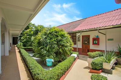 Panda Hotel（Patong Beach）