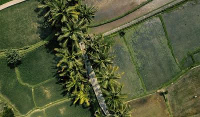 Sudamala Resort Ubud Bali