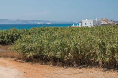 9 Muses Naxos beach hotel