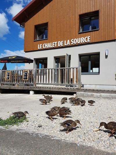 Le Chalet de la Source