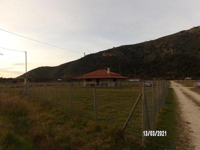 Kalogria Beach Apartments