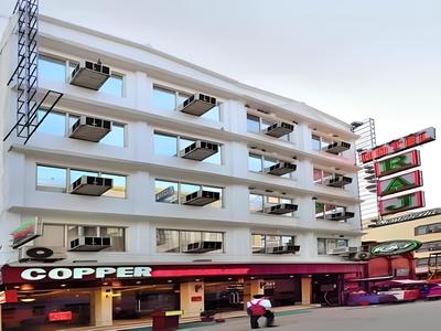 Hotel The Raj, New Delhi