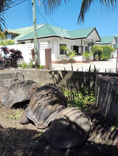 Roche Kerlan Apartments