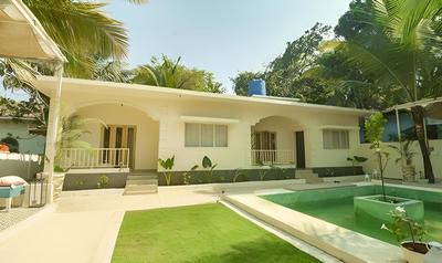 Fabexpress The Olive Turtle Homes