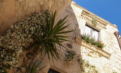 B&B Demetra