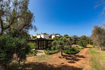 4015 Masseria Scilla by Barbarhouse