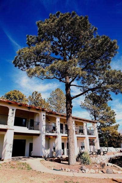 El Verde Inn, Foto 2