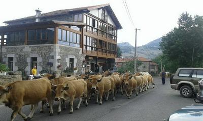 Posada el Mirador