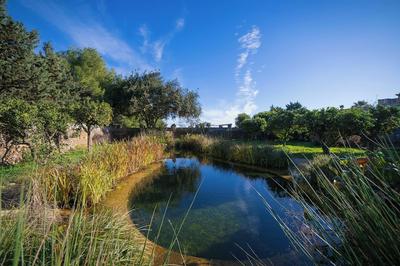 Villa Agrumeta - Private Natural Bio Lake