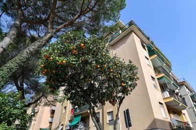 Una finestra su Villa Durazzo