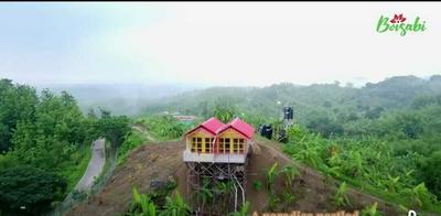 Boisabi Resort