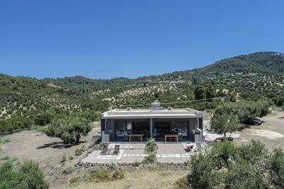 Alterra Vita Eco Villas