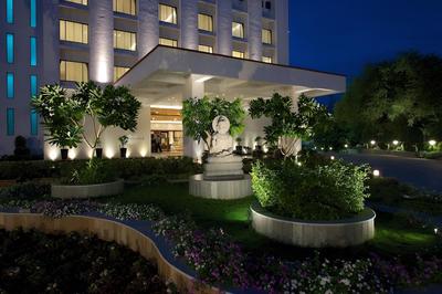 Marigold by Greenpark