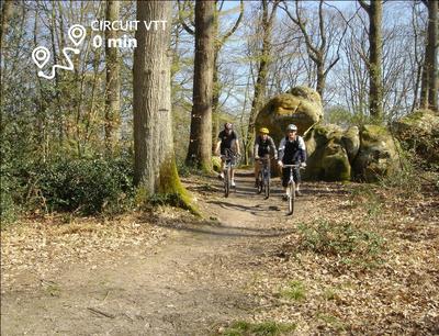 Kabanéo - Gîte et Sauna- Samois sur Seine - Forêt de Fontainebleau