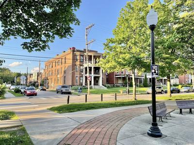 The Warhola Bloomfield