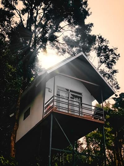 Wayand Whistling Woods