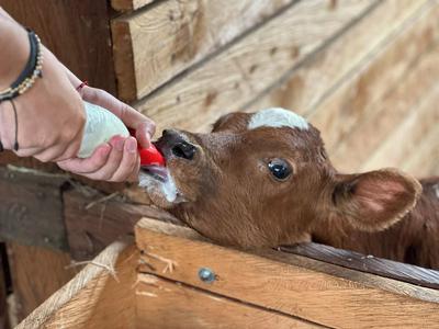 Granja del Cafe Esteban Jaramillo