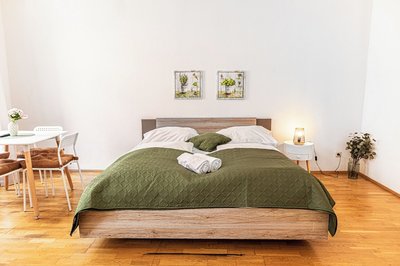 Beautiful 2BR Apartment Near Rennweg