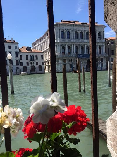 Grand Canal Rialto Palace Lift photo 3