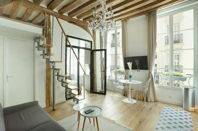 Superb Apartment Le Marais Center of Paris