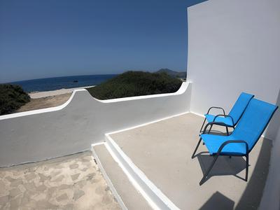 Sofia's House