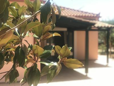 Private Two-house Villa With Pool in Olive Garden