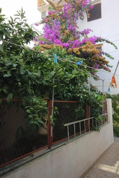 Zoki - Great Location Close to the sea - A2 Plavi