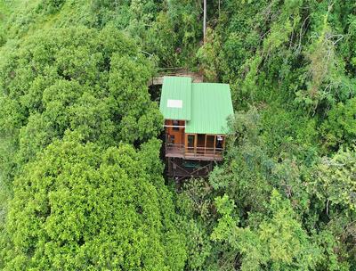 Entre Palos Eco Refugio