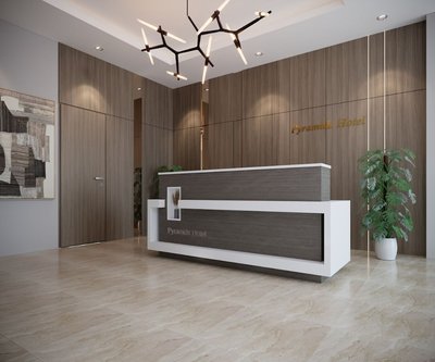 Aziz Egypt Pyramids View