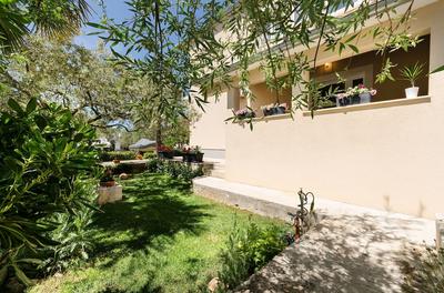 Apartments Ante