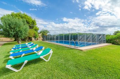 Torre Marina Alga Marina