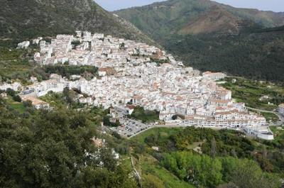 Benavista Ojen