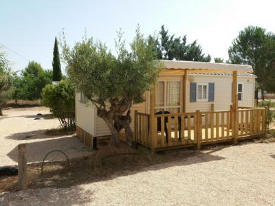 Camping Bola