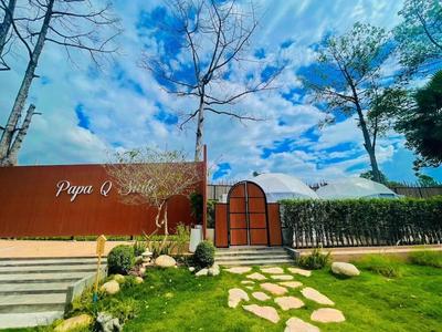 papa q suite resorts