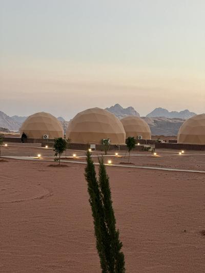 Luxury purple bubble tents