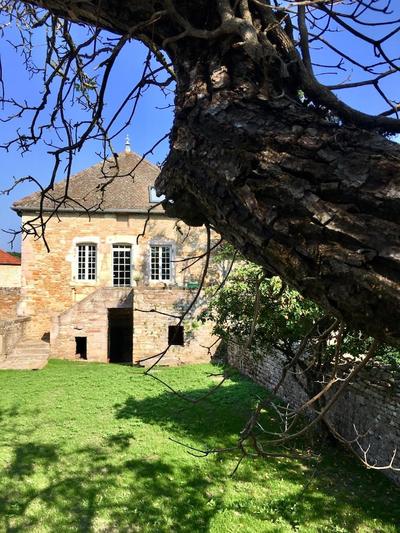 La Maison du Grand Four en Bourgogne, Au coeur de Vignes, Piscine et Sauna