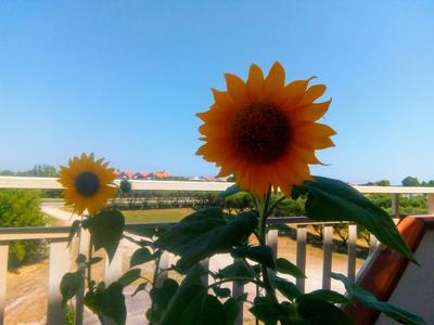 4 Seater Room for Rent With Private Bathroom and Wifi - Molise