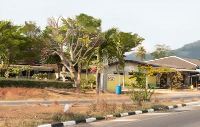 OYO 674 Greenery Home