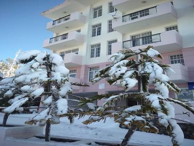 Spangle Heights - Shimla, Suites & Residences