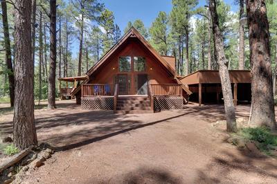 1 Bedroom Apartment near Kensington Market - Unit 4