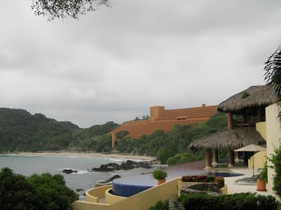 Palmetto Ixtapa 313