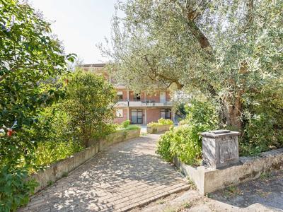 Apartment in Tuoro Near Lake Trasimeno