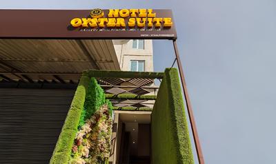 Treebo Trend Oyster Suite