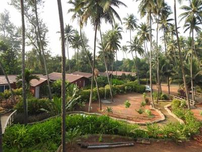 The Stream Resort