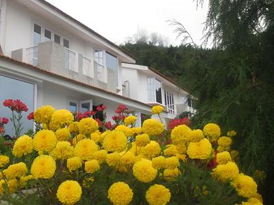 Samui Bayview Resort & Spa