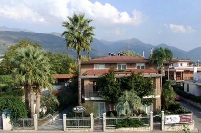 Villa Palma, Kuva 2