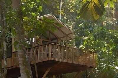 Bergendal Amazonia Wellness Resort