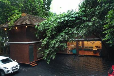 Athirapilly Green Trees