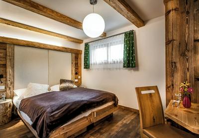 Alpine Mountain Chalet
